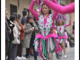 Carnaval de Mula 2014